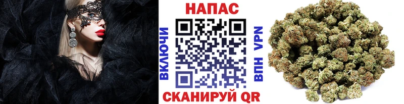 Канабис план  купить   блэк спрут ссылка  Терек 