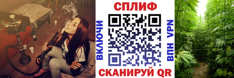 Марихуана индика Терек